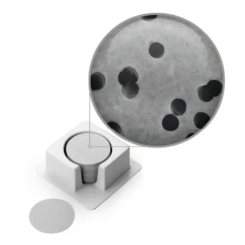 sterlitech-pcte-filter-hydrophilic